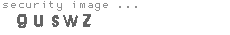 security image