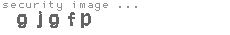 security image