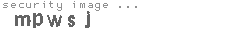security image
