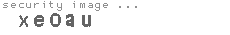 security image