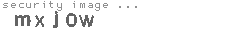 security image