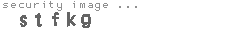security image