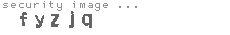 security image