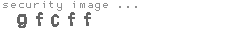 security image