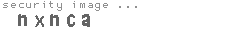 security image