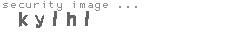security image