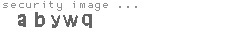 security image