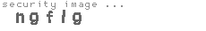 security image