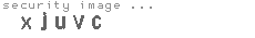 security image
