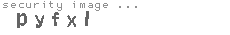 security image