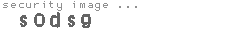 security image