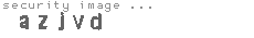 security image