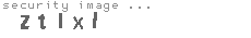 security image