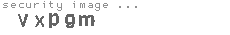security image
