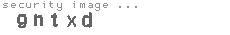 security image