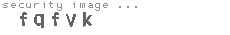 security image