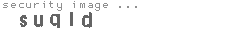 security image