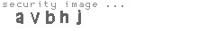 security image