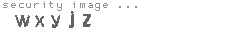 security image