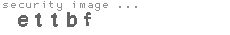 security image