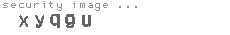 security image