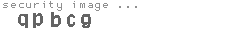 security image