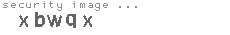 security image