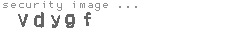 security image