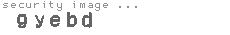 security image