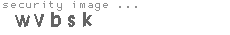 security image