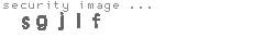 security image