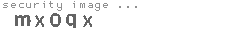 security image
