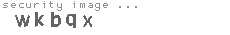security image