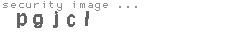 security image