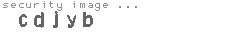 security image