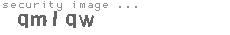 security image