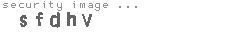 security image