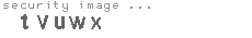 security image