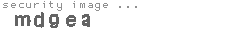 security image