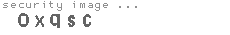 security image
