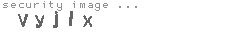 security image