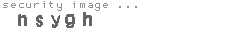 security image