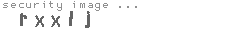 security image