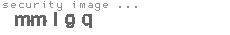 security image