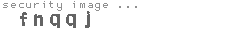 security image