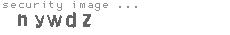 security image