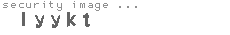 security image