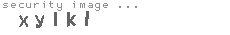 security image