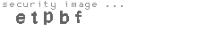 security image