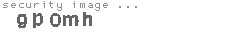 security image